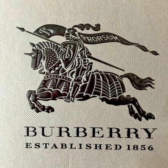 New Burberry Flip Flop Sandals Size 39 - Picture 6 of 6